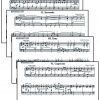 Suite Nr. 10 – Bild 2