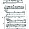 Suite Nr. 14 – Bild 2