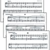 Suite Nr. 7 – Bild 2