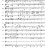 Concertino Op. 26 – Bild 2