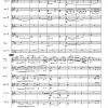 Concertino Op. 26 – Bild 3