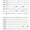 Suite op. 85 (für Alphorn und Akkordeonorchester) – Bild 5