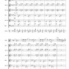 Suite op. 85 (für Alphorn und Akkordeonorchester) – Bild 6