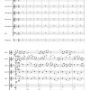 Suite op. 85 (für Alphorn und Akkordeonorchester) – Bild 2