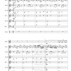 Suite op. 85 (für Alphorn und Akkordeonorchester) – Bild 4