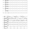 Suite op. 85 (für Alphorn und Akkordeonorchester) – Bild 8