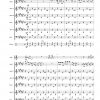 Suite op. 85 (für Alphorn und Akkordeonorchester) – Bild 9