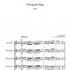 Pineapple Rag – Bild 2