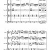 Pineapple Rag – Bild 5